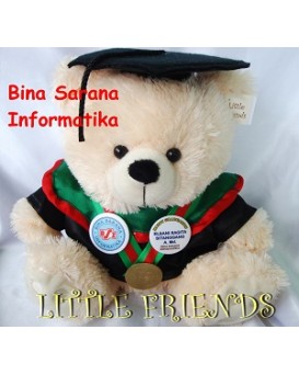Boneka Wisuda Bina Sarana Informatika - Diploma (30 cm)